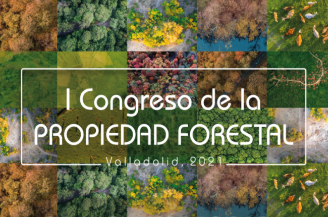 2021_Il cogreso de la propriedad forestal.png