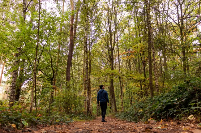 Person walk in forest