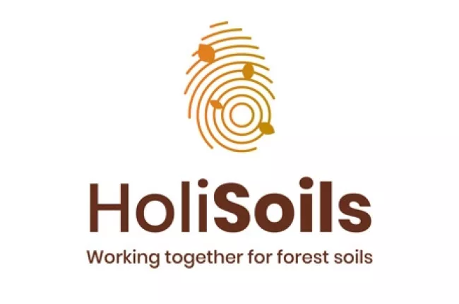 HoliSoils: Working together for forest soils