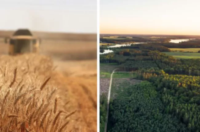 bioeconomy