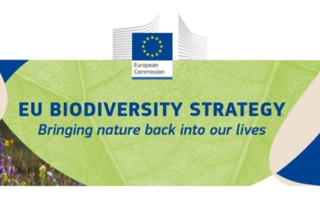 EU biodiversity strategy - bringing nature back into our lives_0.jpg