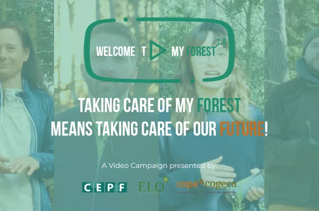 banner 600px_Tavola disegno 1.png