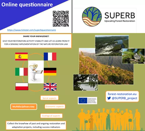 Superb questionnaire