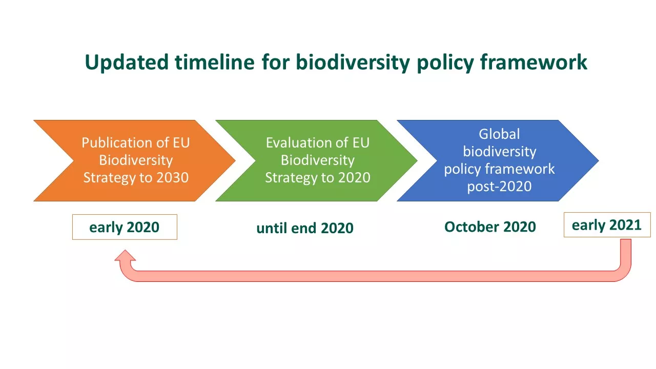 Biodiv no logo 2.jpg