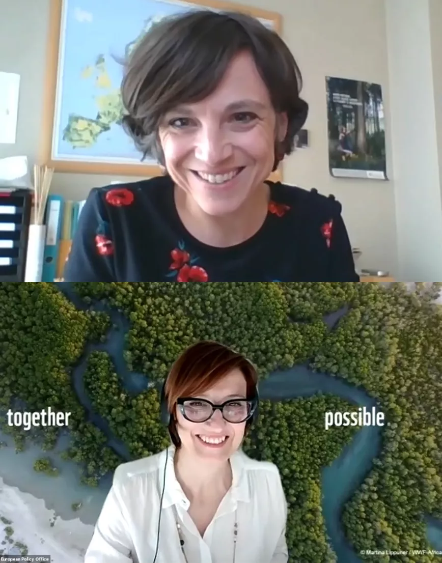 Fanny-Pomme & Ester_2.png