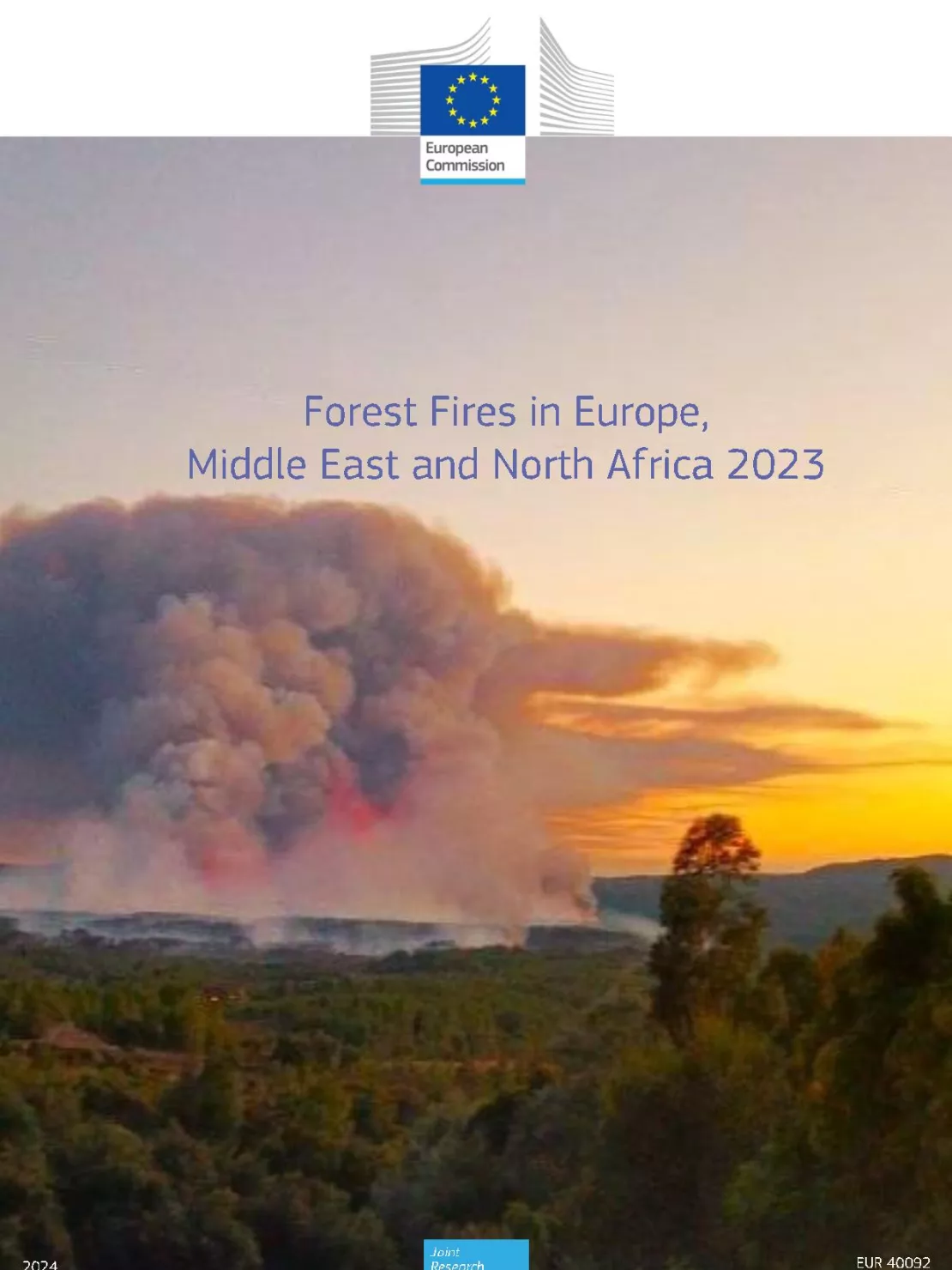 forest fires 2023