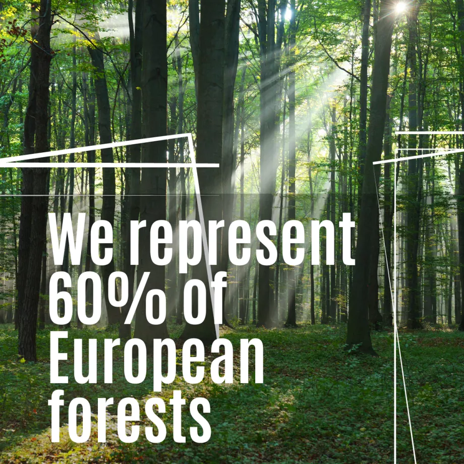 We represent 60% of European forests