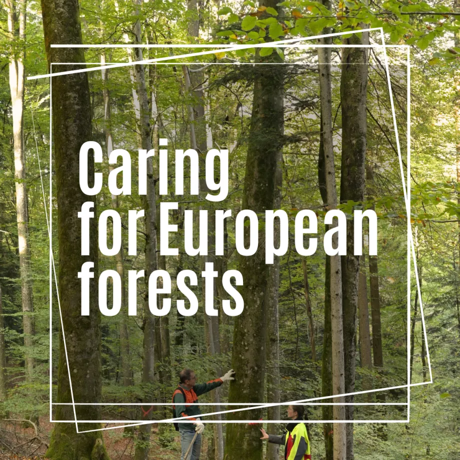Caring for European forests